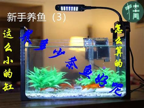 魚缸大小魚數量